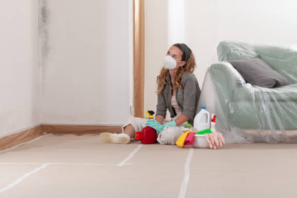 Reliable Mold Inspection contractor in Woodbine, MD by WQB Mold Removal